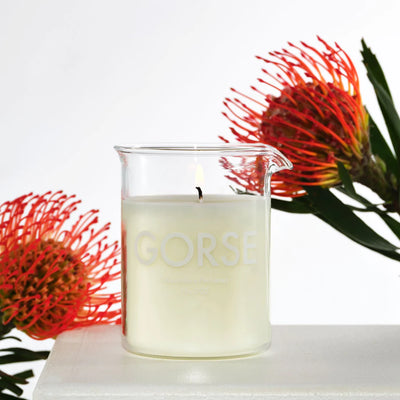 Laboratory - Gorse Scented Candle